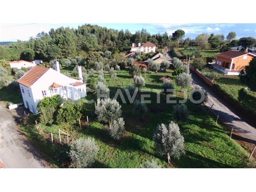 2 houses with land, (excellent guesthouse project) olive trees, 10 min from the water sports complex