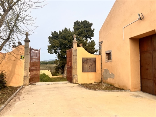 Quinta de Charme, Solar do Séc. Xvii, Capela, produção de vinhos biológicos