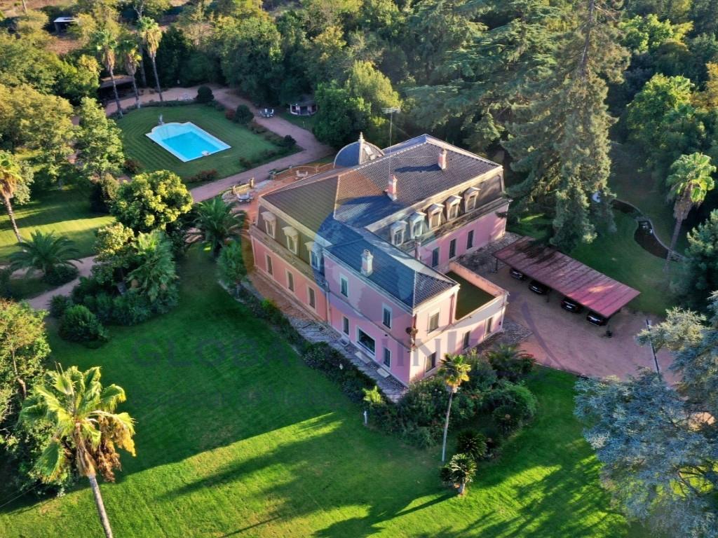 Farm with Magnificent Palace of the 19th century and equestrian facilities