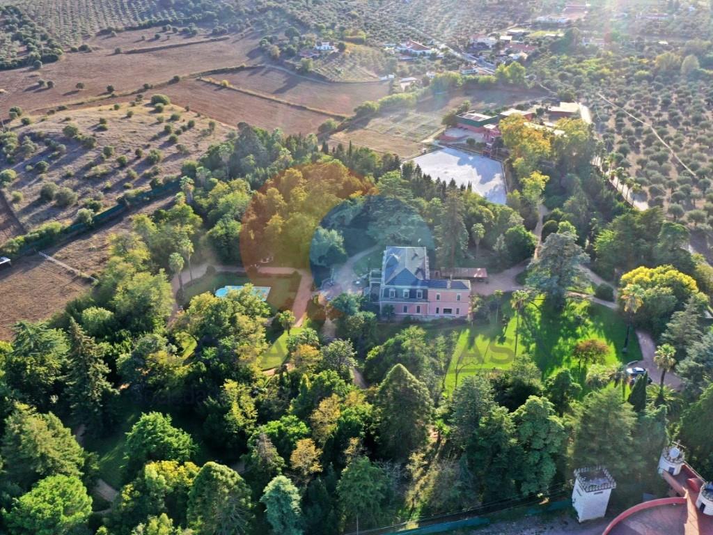 Farm with Magnificent Palace of the 19th century and equestrian facilities
