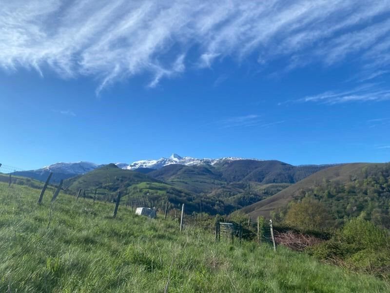 Maison à vendre, 89m², Arrodets-ez-Angles