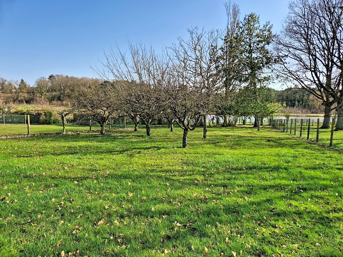 Maison à vendre, 127m², Nogent-sur-Vernisson