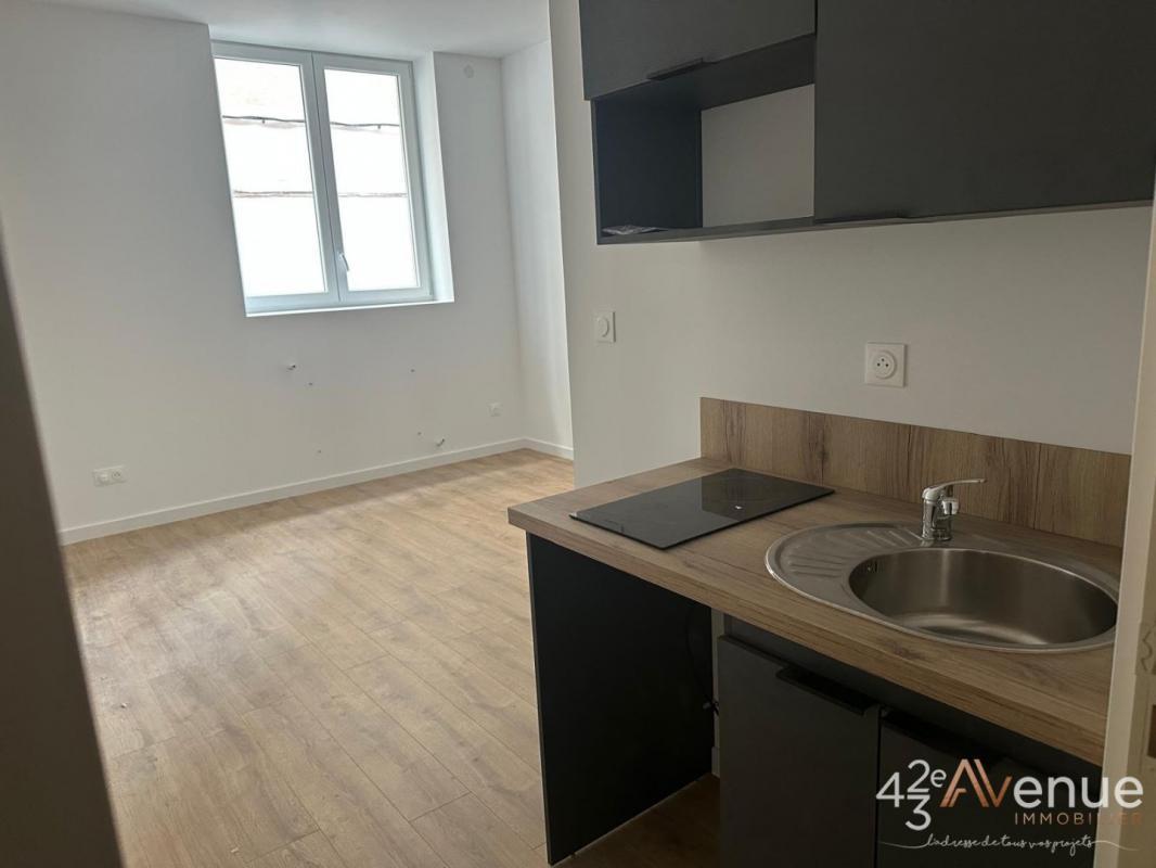 Appartement à vendre, 19m², Saint-Etienne