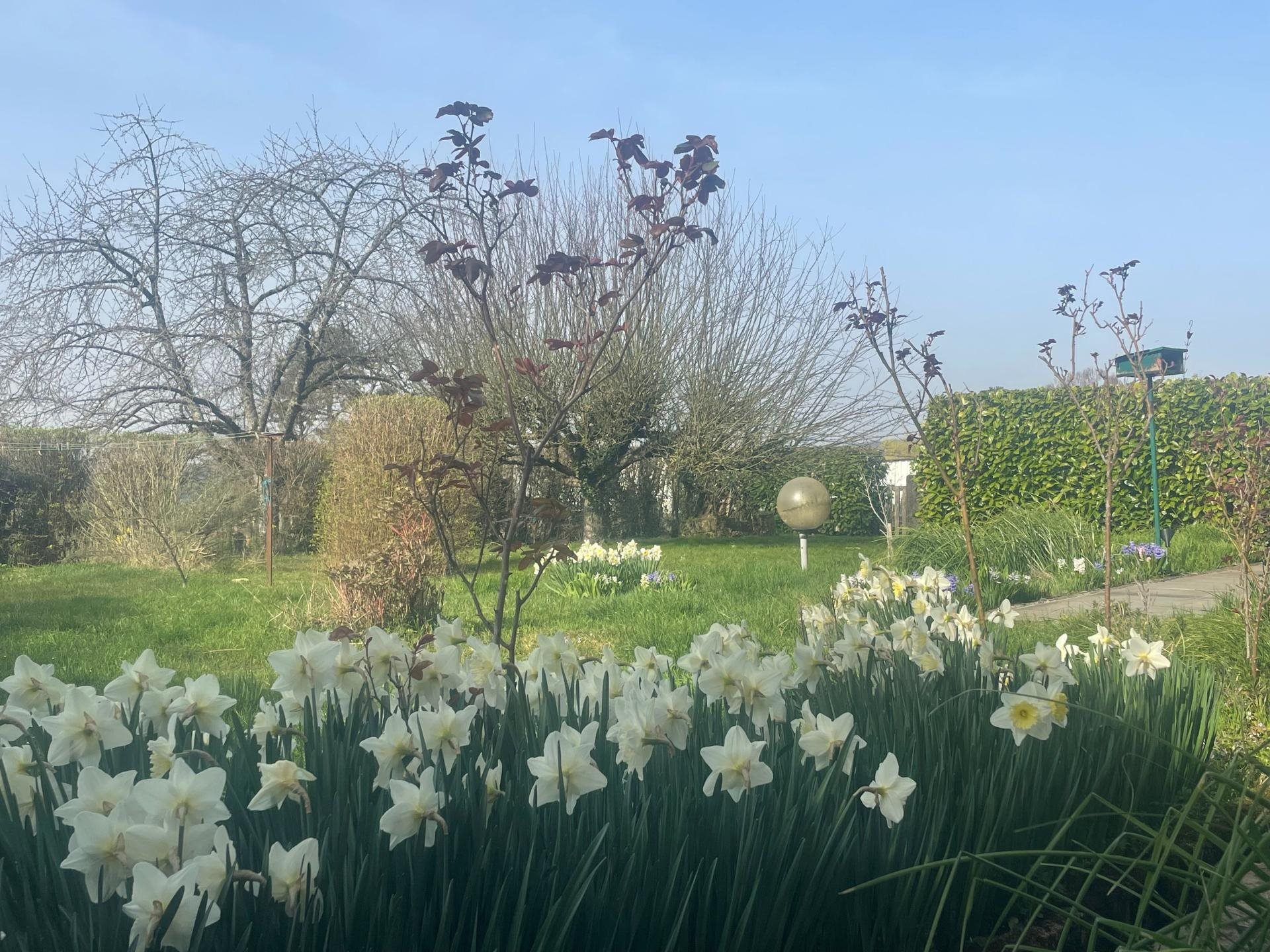 Maison à vendre, 220m², Mercey-le-Grand