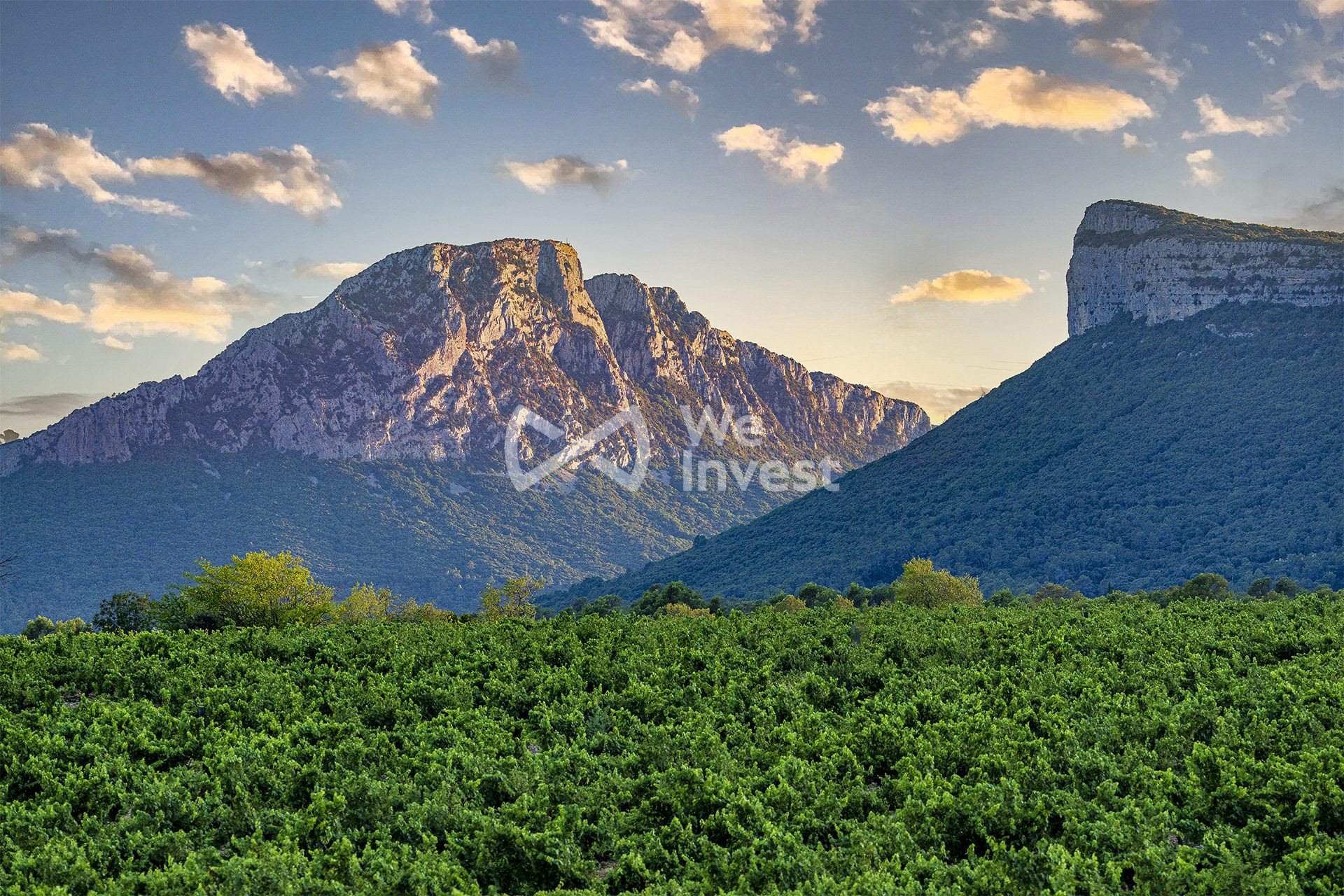 Maison à vendre, 212m², Assas