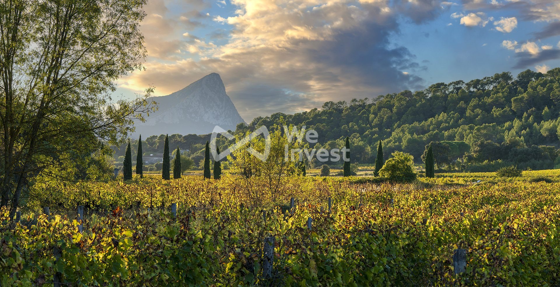 Maison à vendre, 212m², Assas