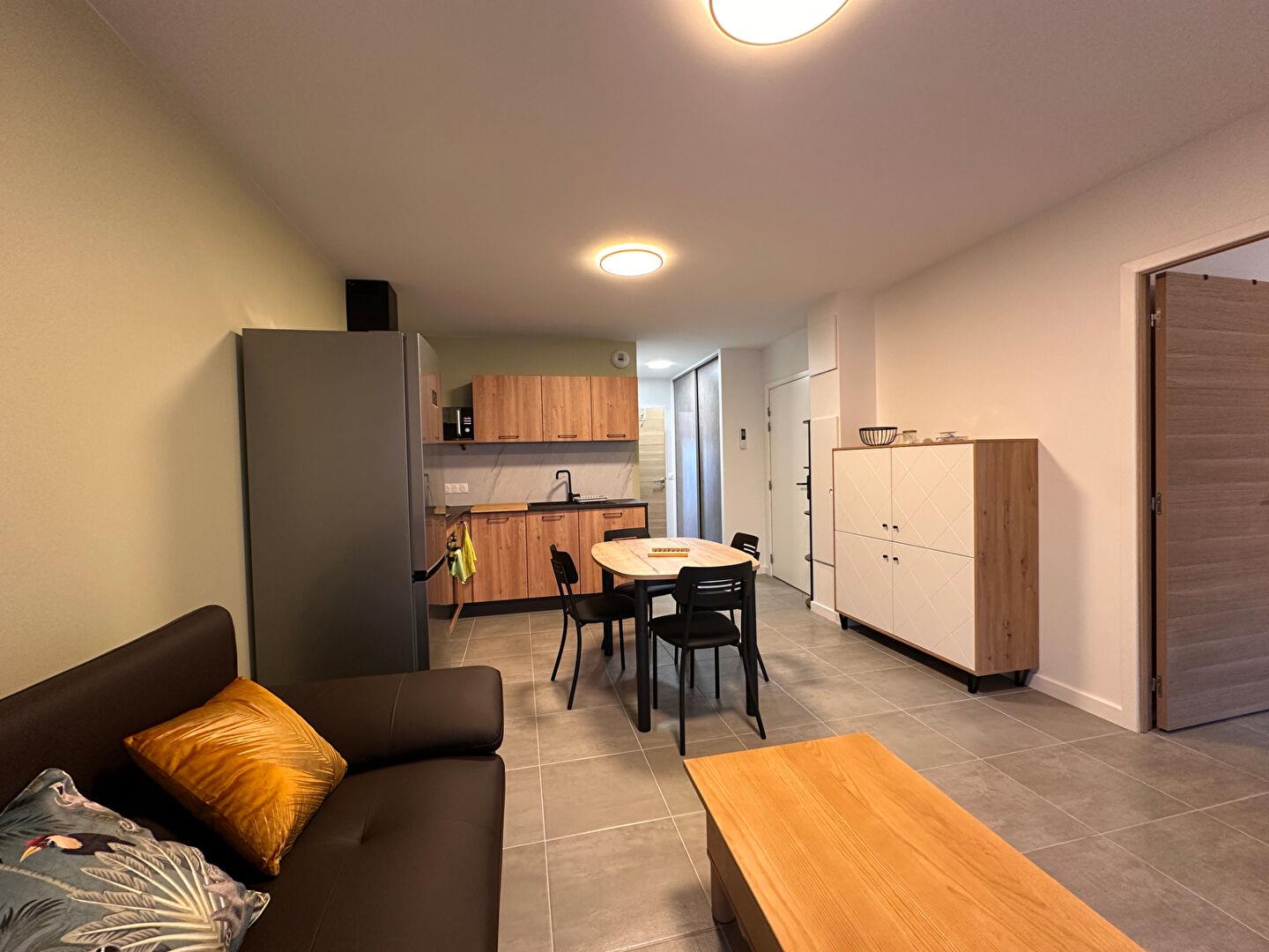 Appartement à louer, 50m², Albi