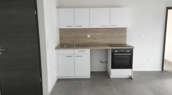 Appartement à louer, 48m², Brumath