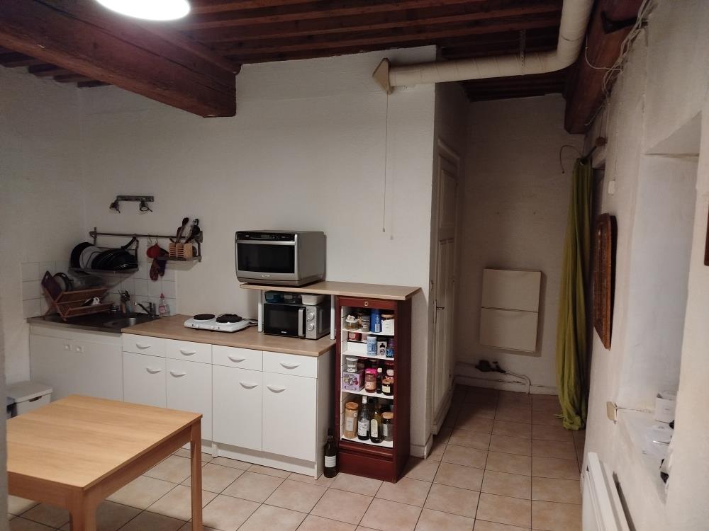 Appartement à louer, 46m², Lyon 7ème