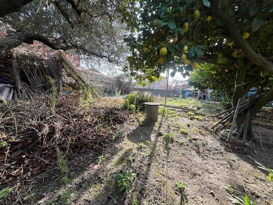 Maison à vendre, 230m², Canohès