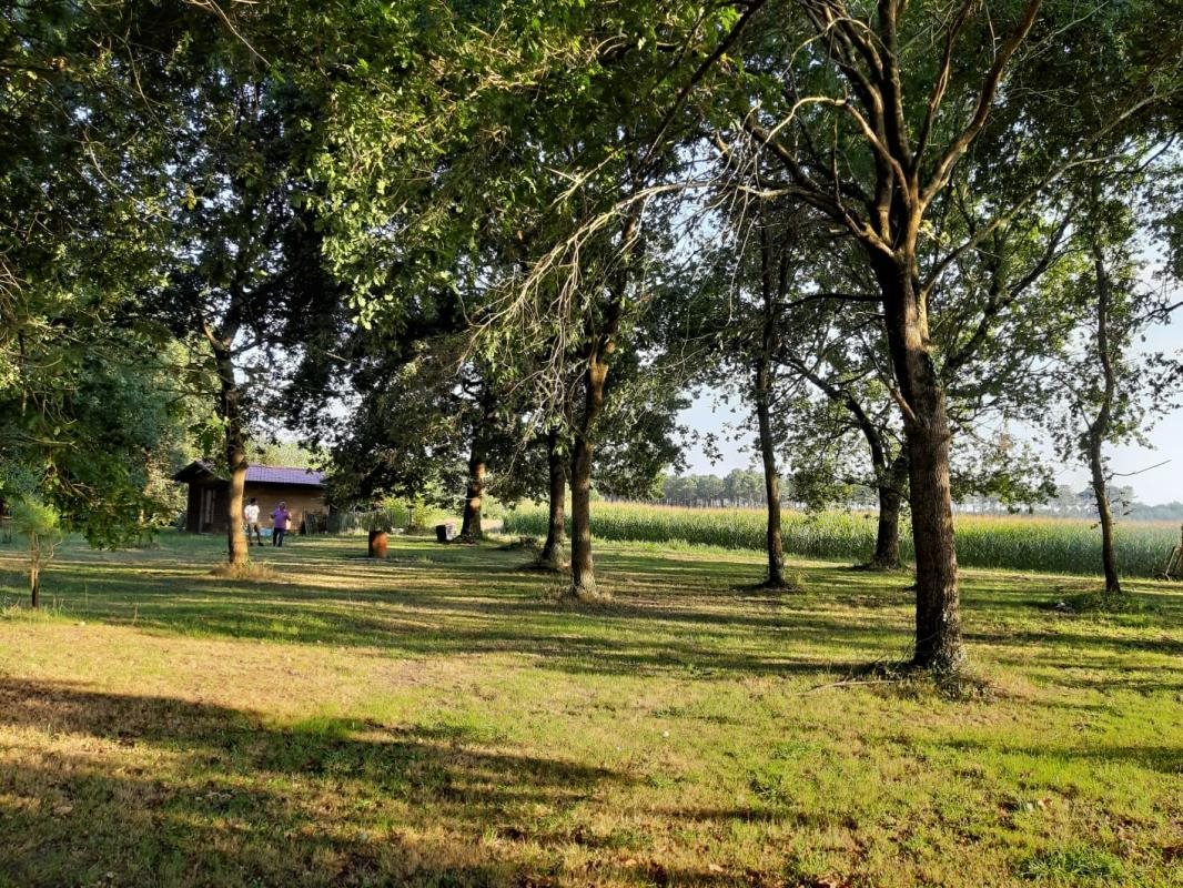 Maison à vendre, 170m², Soustons