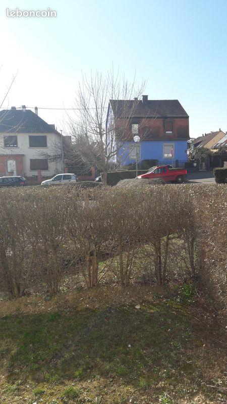 Maison à louer, 19m², Lingolsheim