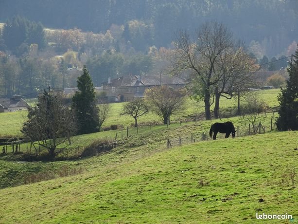 Appartement à vendre, 40m², Cublize