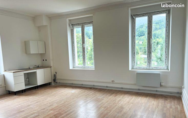 Appartement à vendre, 480m², Sainte-Marie-aux-Mines