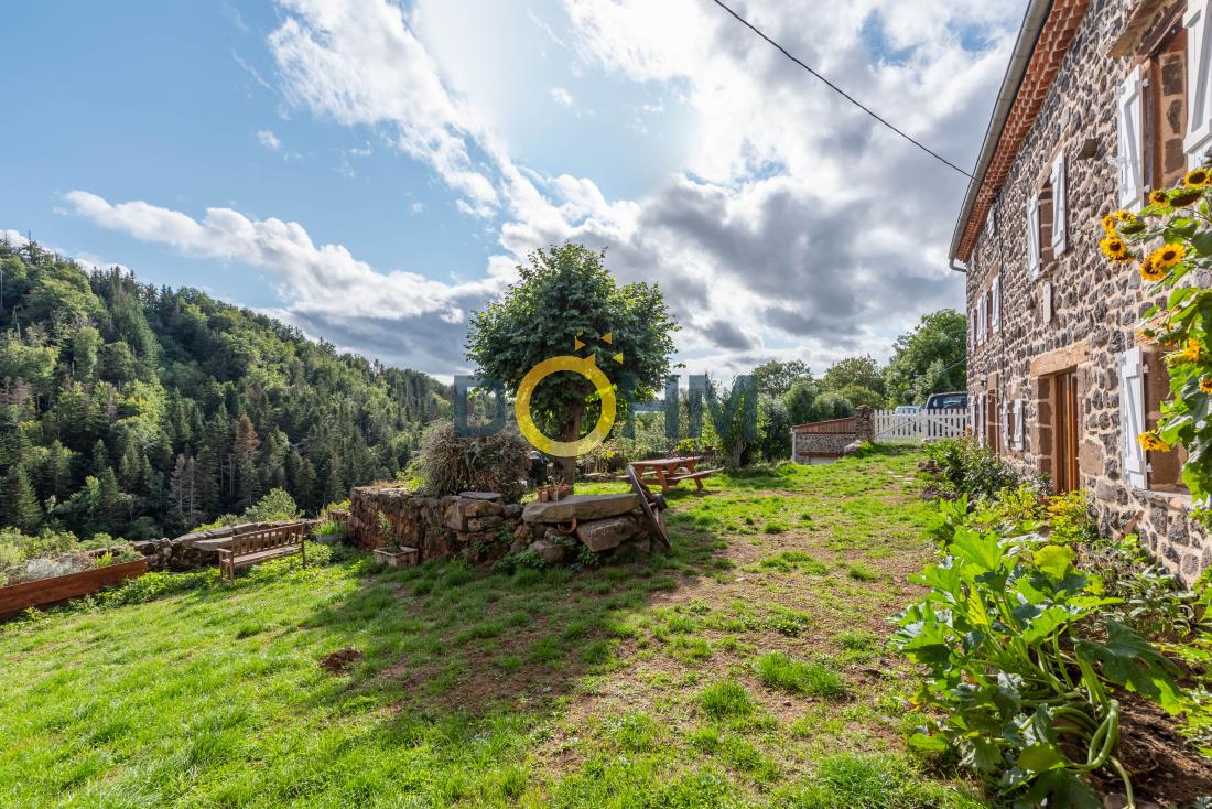 Maison à vendre, 180m², Siaugues-Sainte-Marie