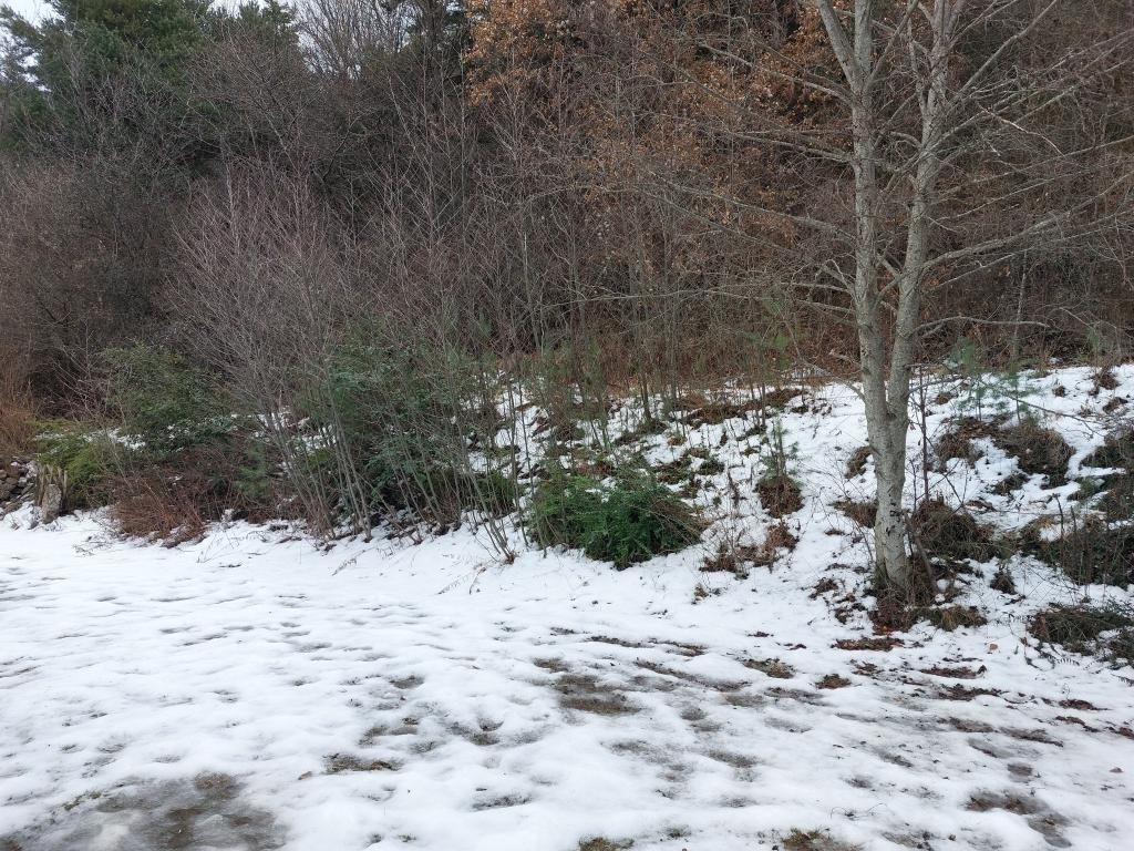 Maison à louer, 95m², Savines-le-Lac