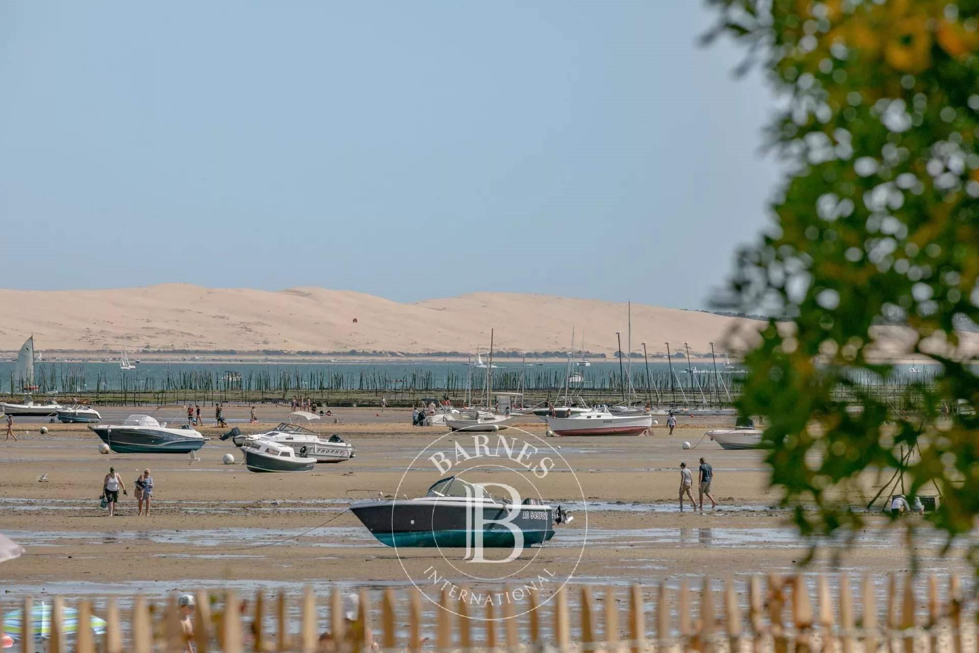 Maison à louer, 300m², Le Cap-Ferret