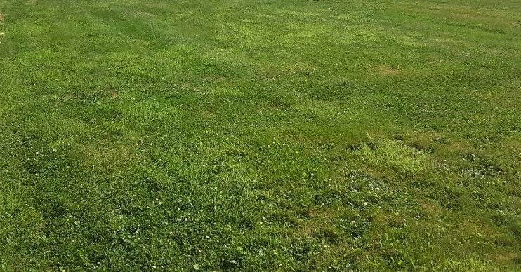 Maison à vendre, 140m², Médavy