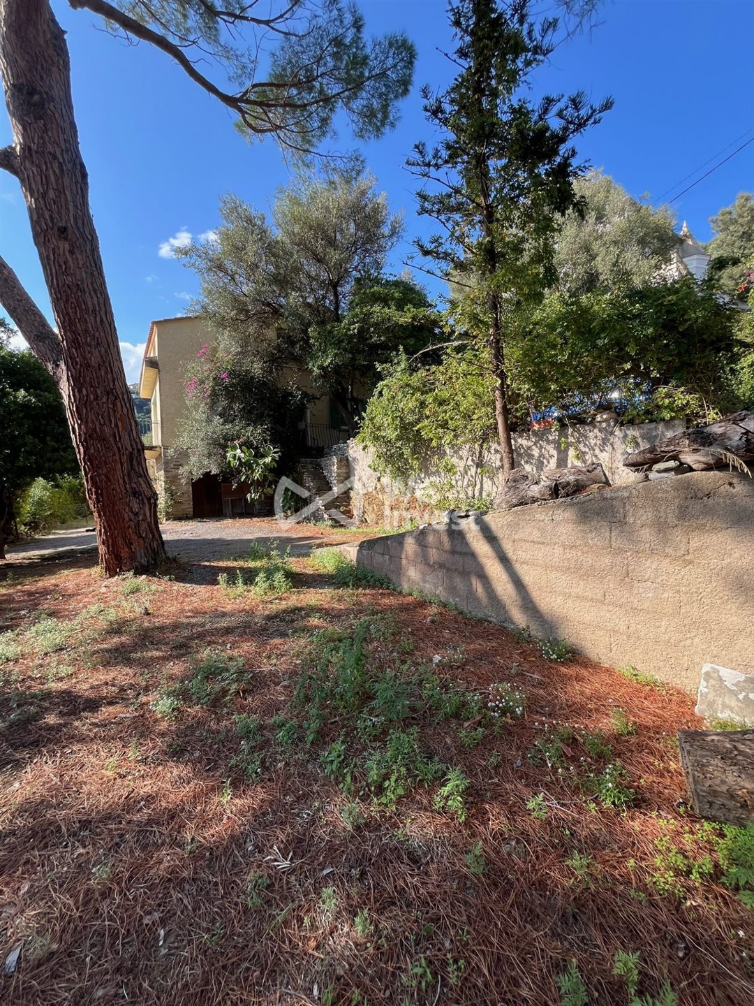 Maison à vendre, 220m², Ville-di-Pietrabugno