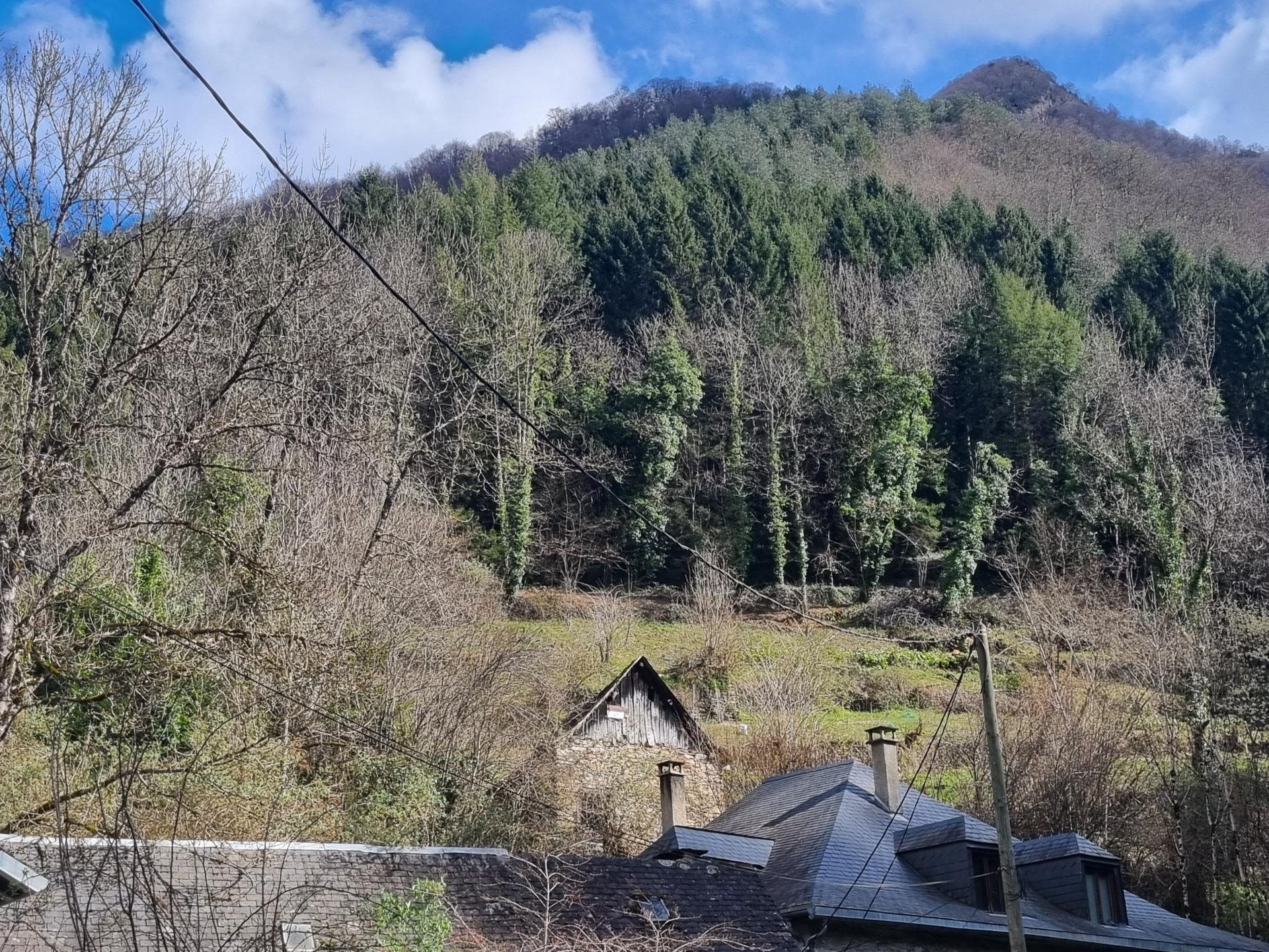 Maison à vendre, 45m², Couflens