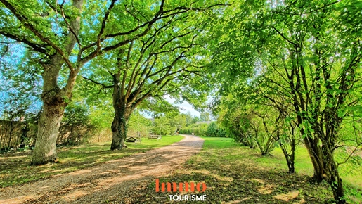 Saint-Laurent-Nouan (Loir-et-Cher)