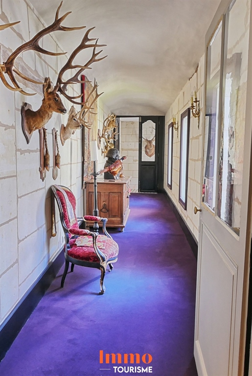 Additional image 13 of Loches (Indre-et-Loire)