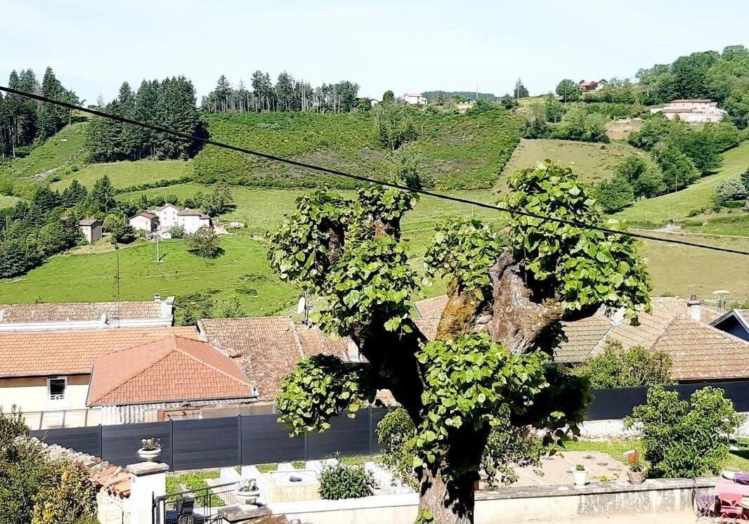 Appartement à louer, 75m², Saint-Vincent-de-Reins