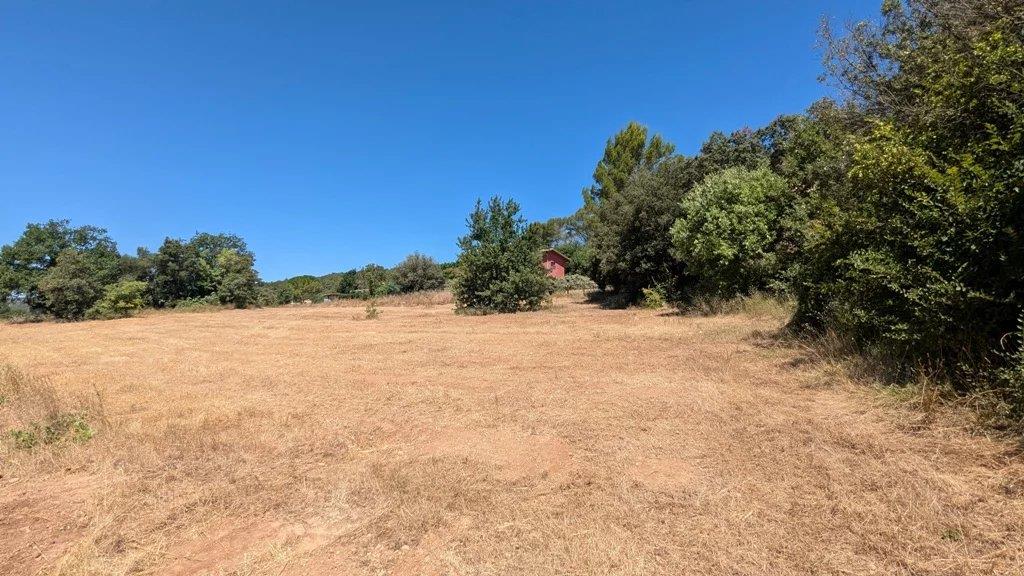 Compra: Terreno (83570)