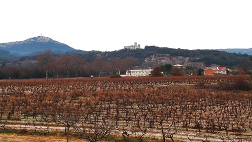 Mas with Vineyards and panoramic views.

Splendid Mas of 600 m2 restored sympathetically,