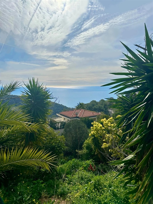 This south-facing plot of 1100 m2 located in Eze offers magnificent panoramic sea views. 
