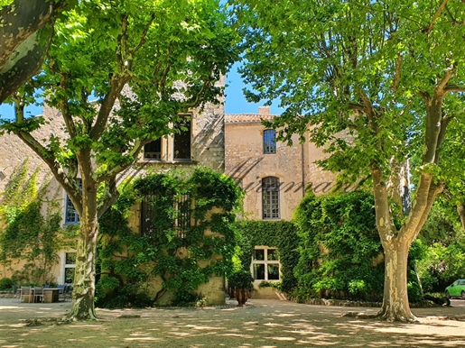 Proche d'uzès et de nîmes, exceptionnel château avec parc