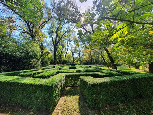 Near Uzès and Nîmes, exceptionnal castel with park