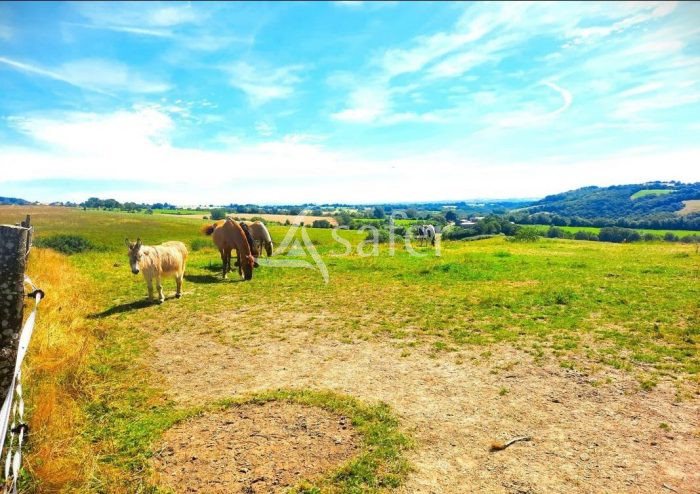 Maison à vendre, 456m², Montirat
