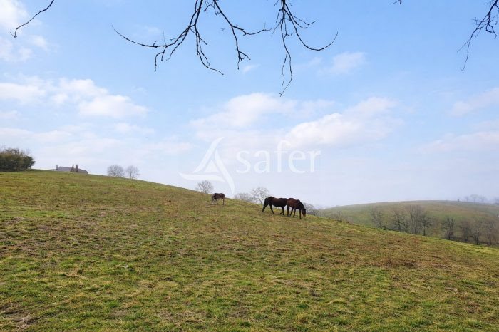 Maison à vendre, 456m², Montirat