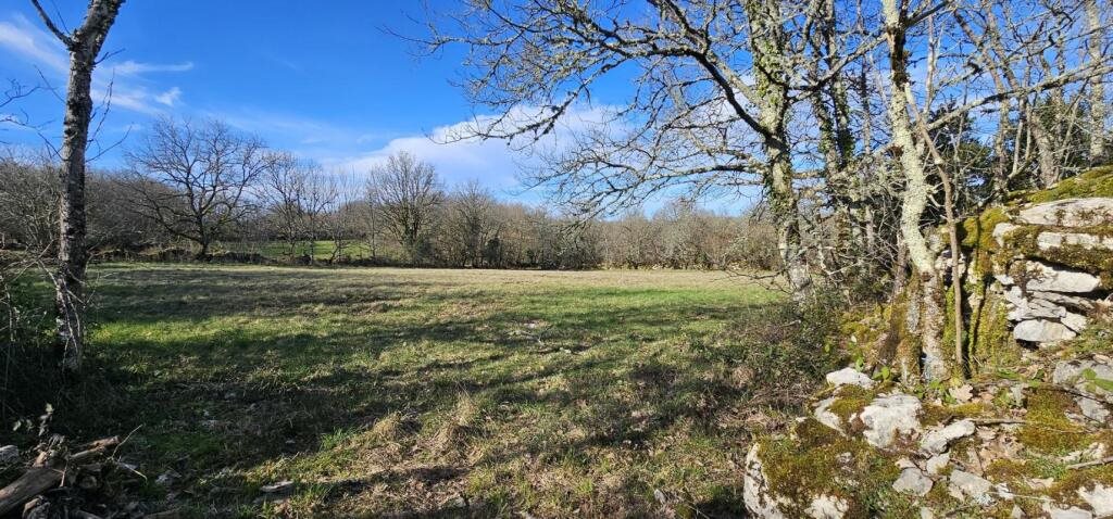 Maison à vendre, 114m², Saillac