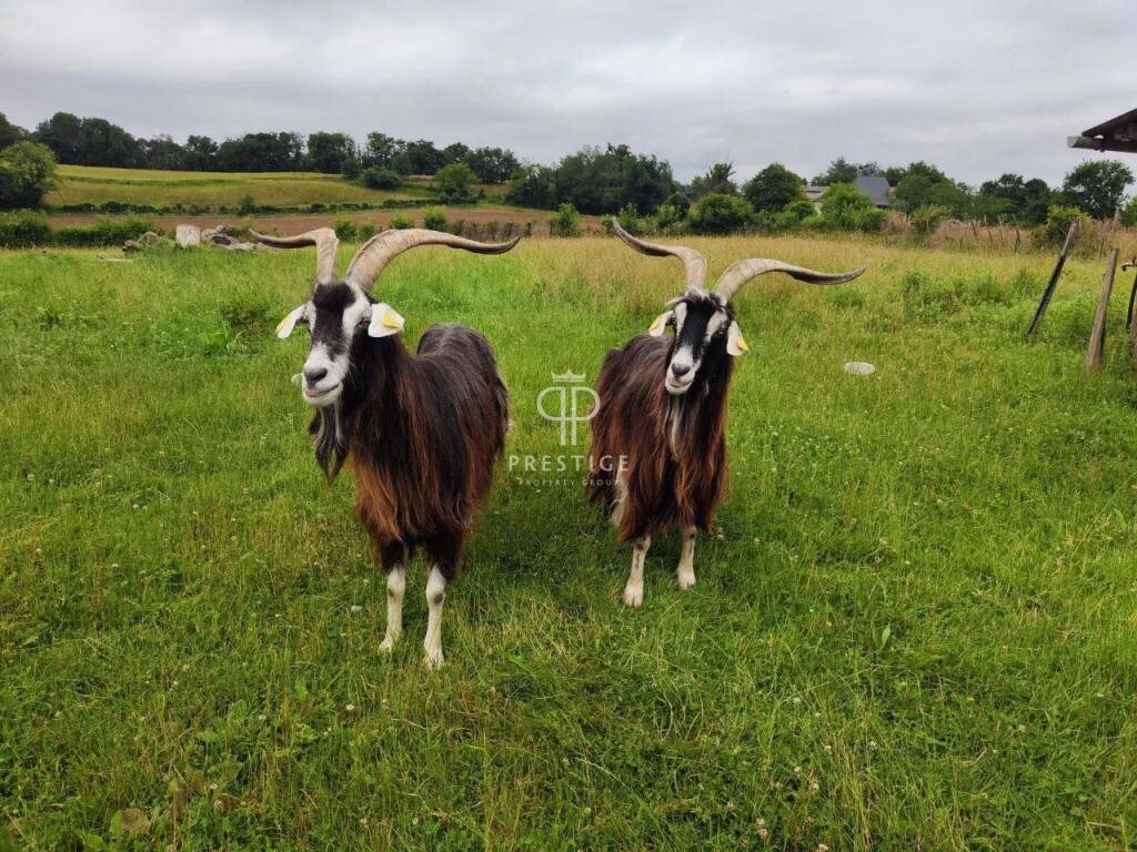 Maison à vendre, 314m², Navarrenx