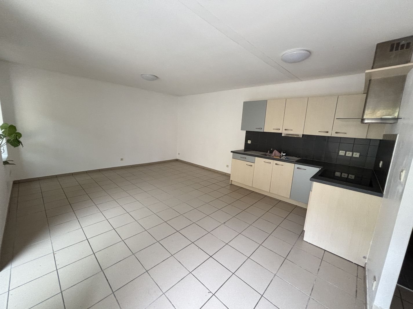 Appartement à louer, 39m², Pont-de-Vaux
