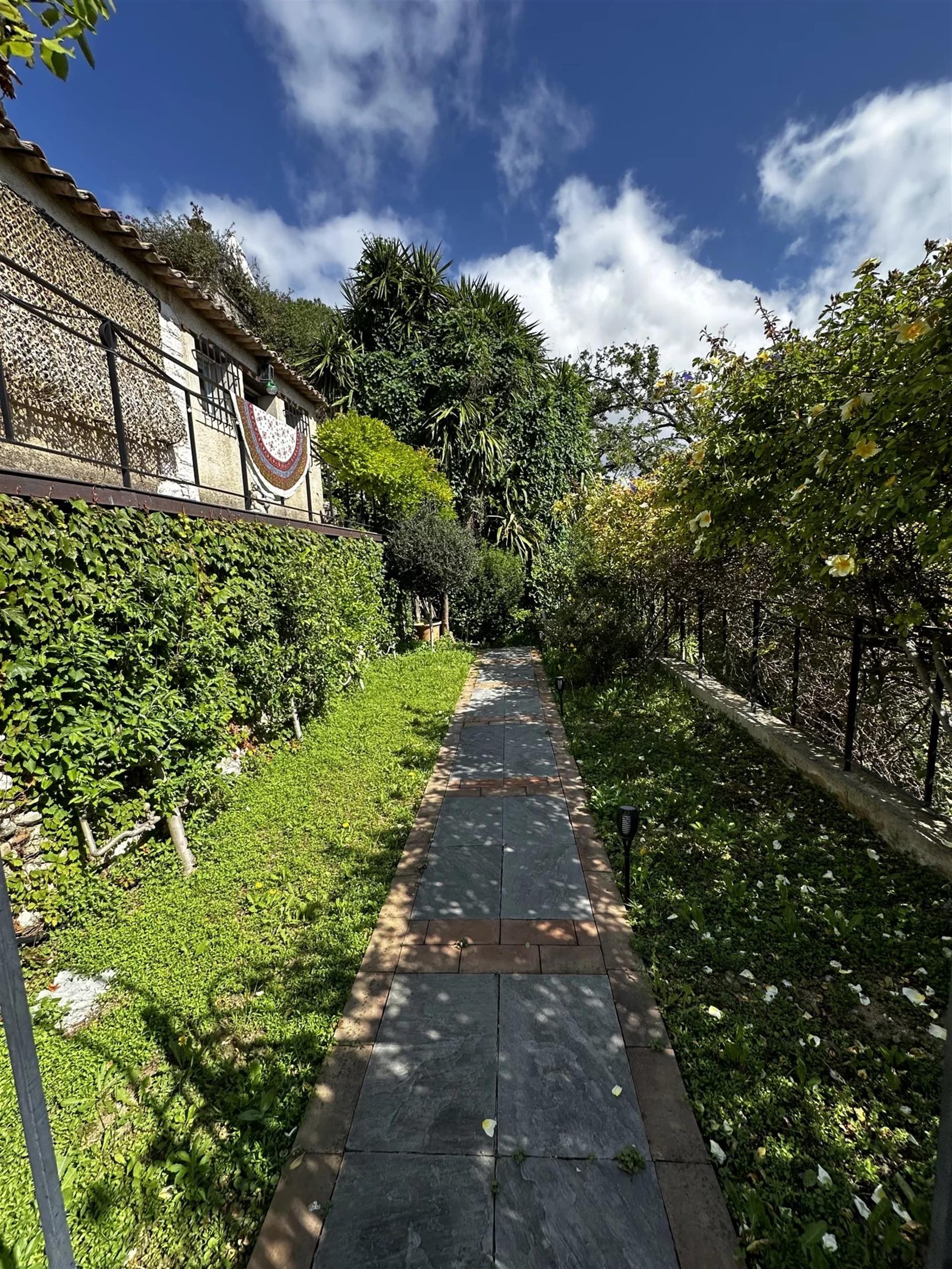 Compra: Casa (06800)