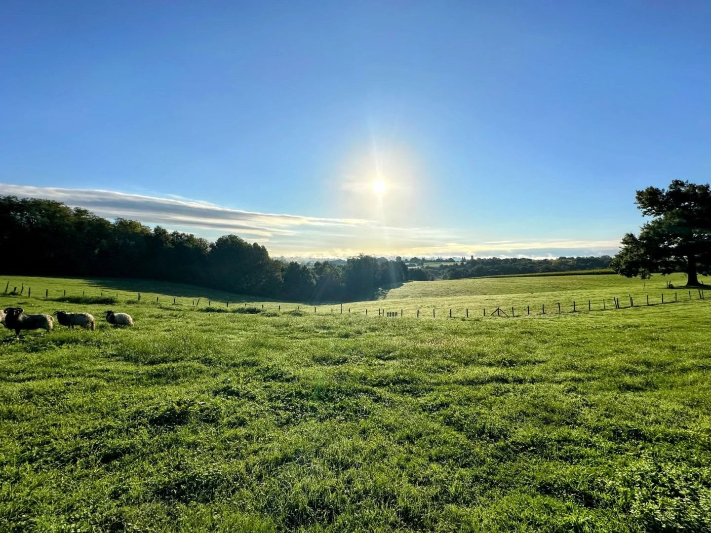Appartement à vendre, 117m², Arraute-Charritte