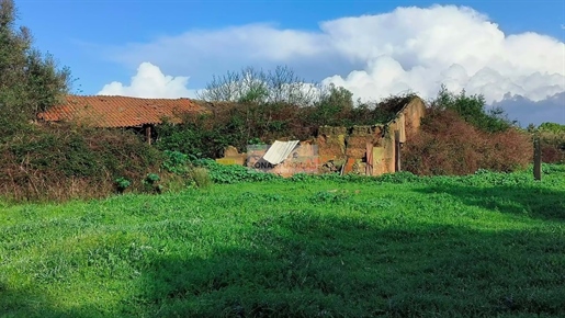 Land met ruïne in Odiaxere