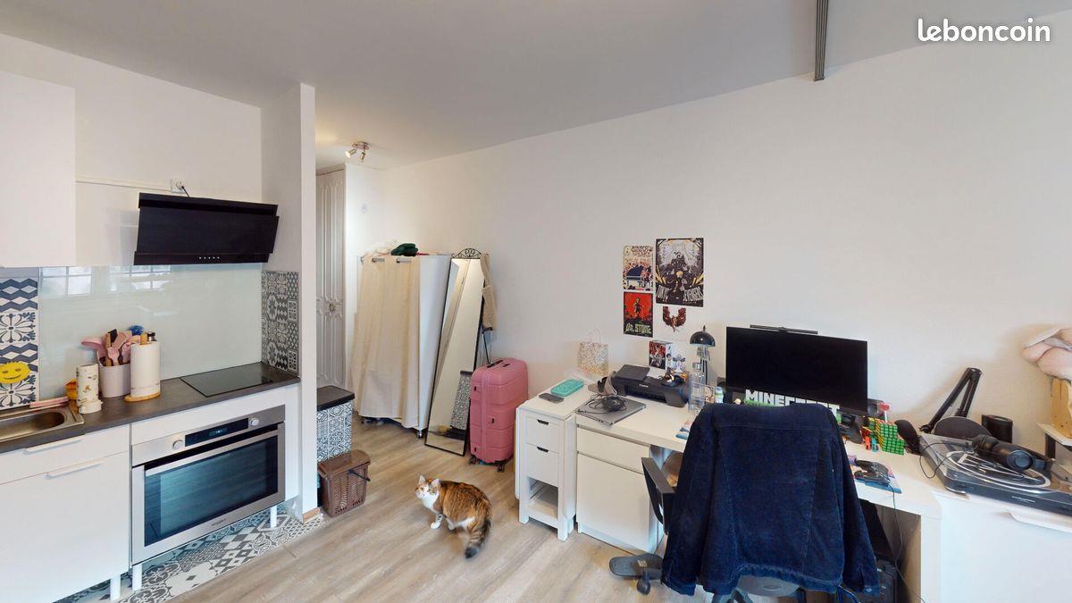 Appartement à vendre, 26m², Strasbourg