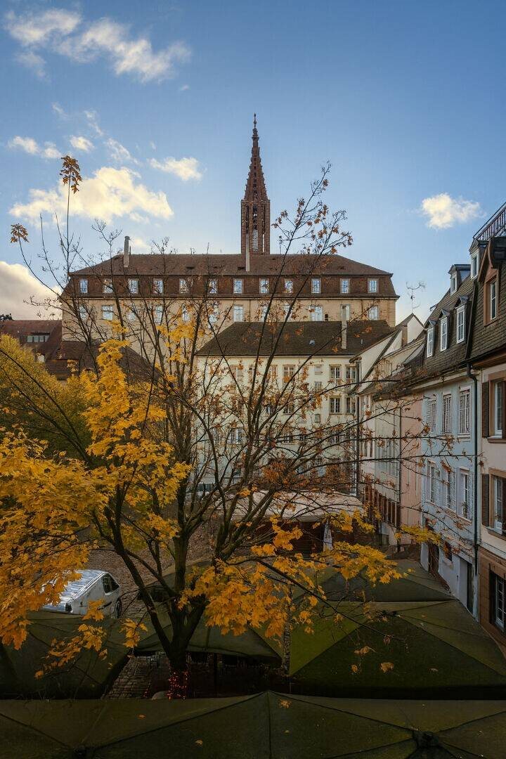 Appartement à vendre, 48m², Strasbourg