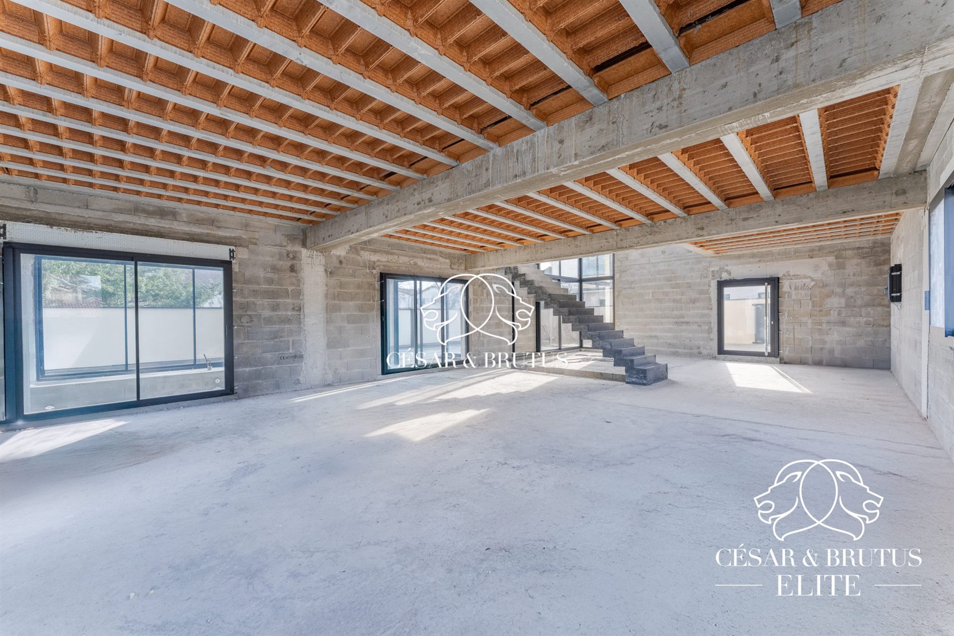 Maison à vendre, 500m², Mions