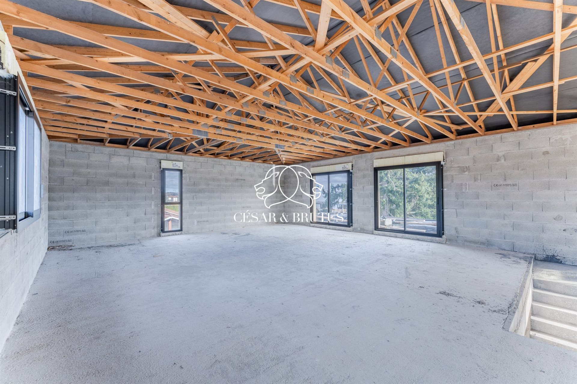 Maison à vendre, 500m², Mions