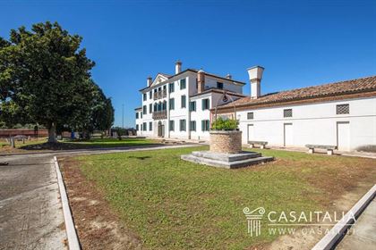 Villa unifamiliale via Roma 315, Centro, Canaro | 5+ chambres | 825 m²