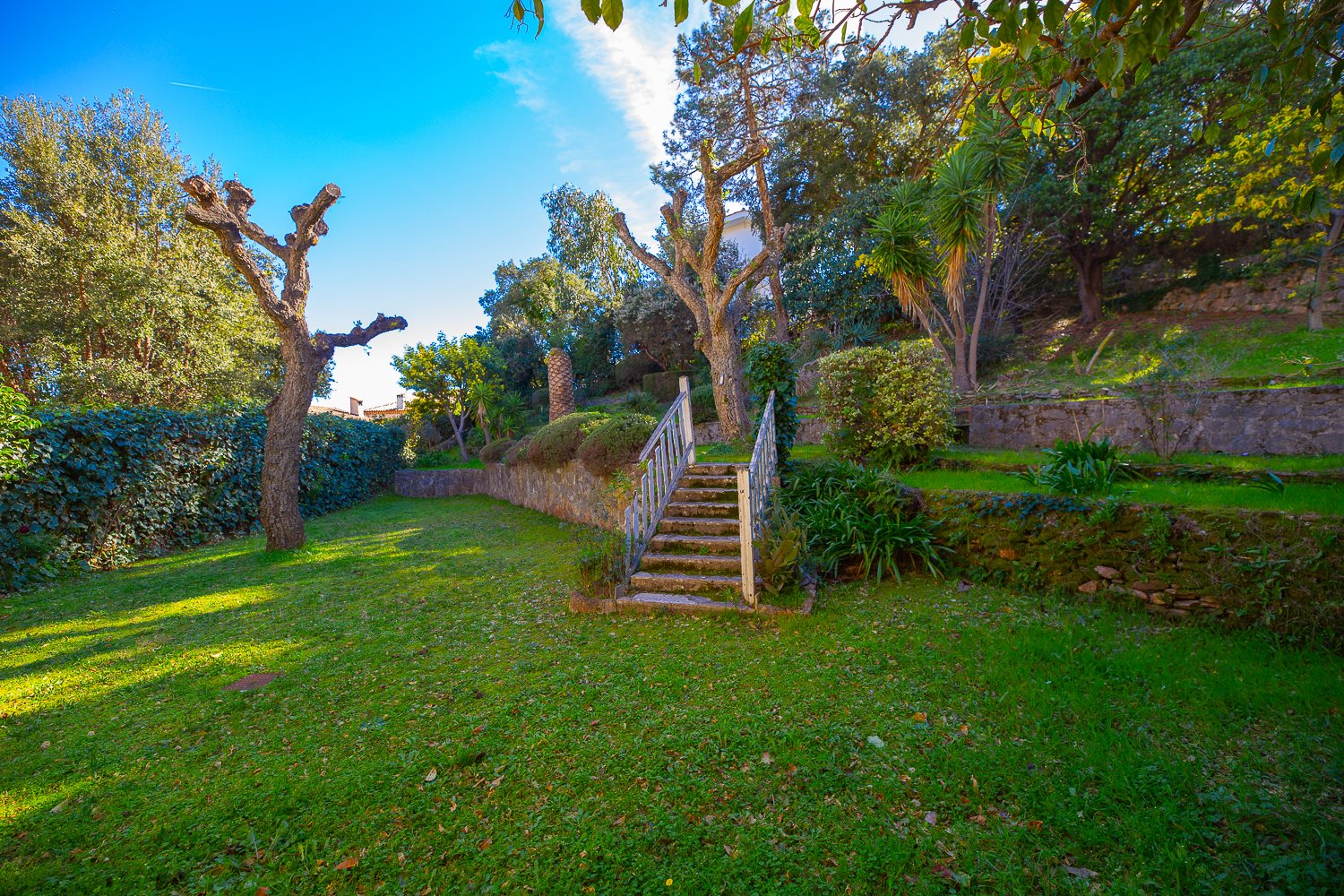 Maison à vendre, 216m², Mandelieu-la-Napoule