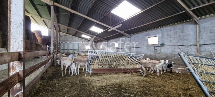 Maison à vendre, 373m², Castelnau-Magnoac