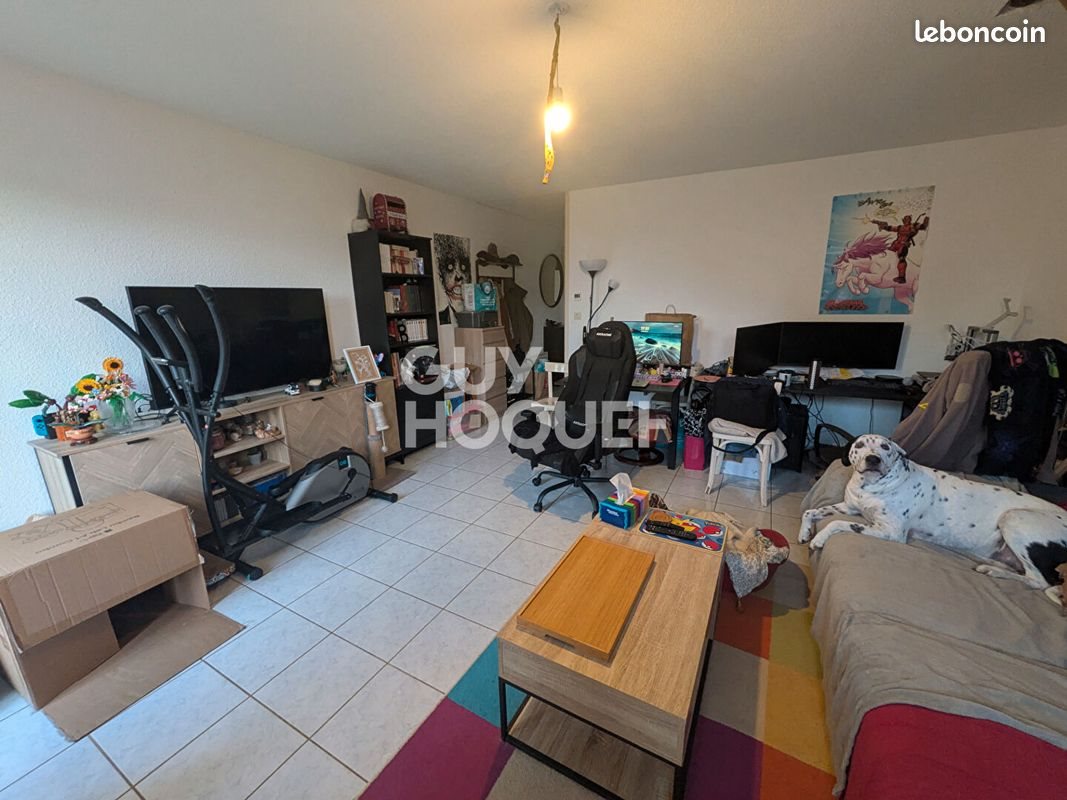 Appartement à louer, 69m², Bonnard