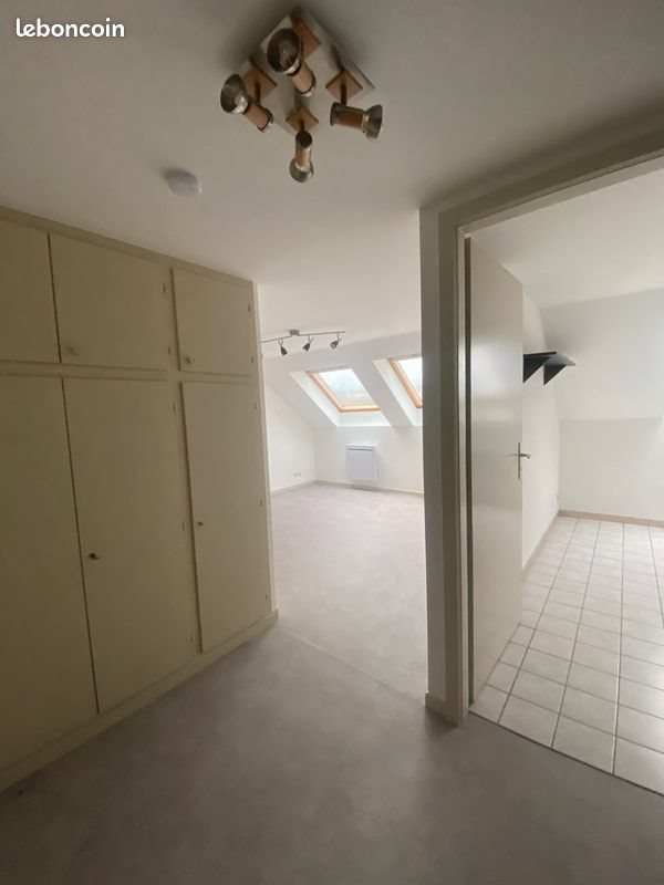 Appartement à louer, 49m², Sarrebourg