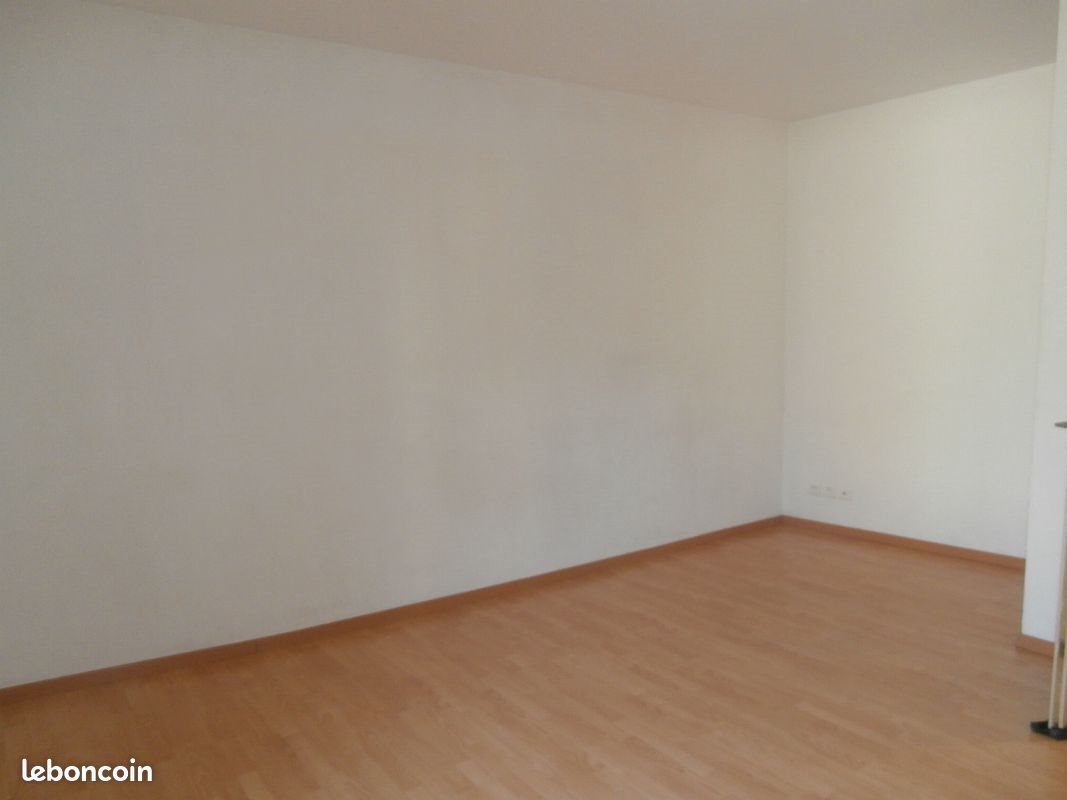 Appartement à louer, 45m², Mende